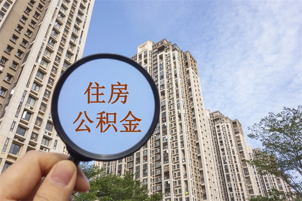 阿里去年11月提的公积金今年几月（去年12月提的公积金今年几月可以提）